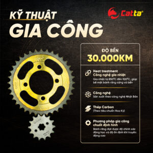 Kỹ thuật gia công nsd Catta