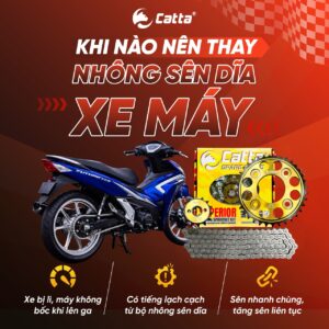 Khi nào nên thay nhông sên dĩa