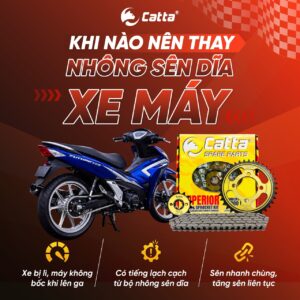 Khi nào nên thay nhông sên dĩa Large